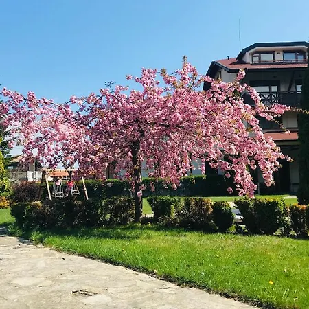 埃维莉娜宫殿酒店 4*