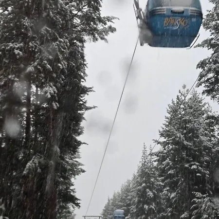 Evelina Palace Отель 4*