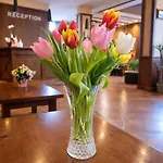Evelina Palace 4*