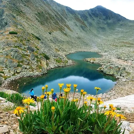 Evelina Palace Hotel 4*