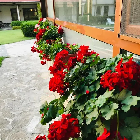 Evelina Palace Hotell