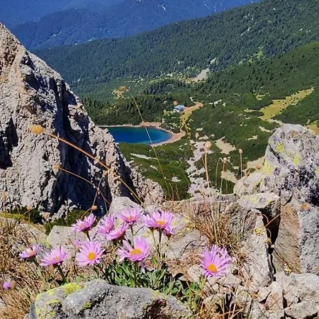 Hotel Evelina Palace Bansko